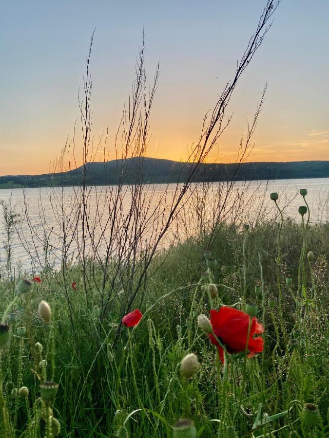 Caravans 10 Min To Tsonevo Lake & 35 Min To Black Sea المظهر الخارجي الصورة