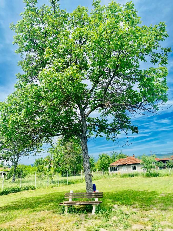 Caravans 10 Min To Tsonevo Lake & 35 Min To Black Sea المظهر الخارجي الصورة