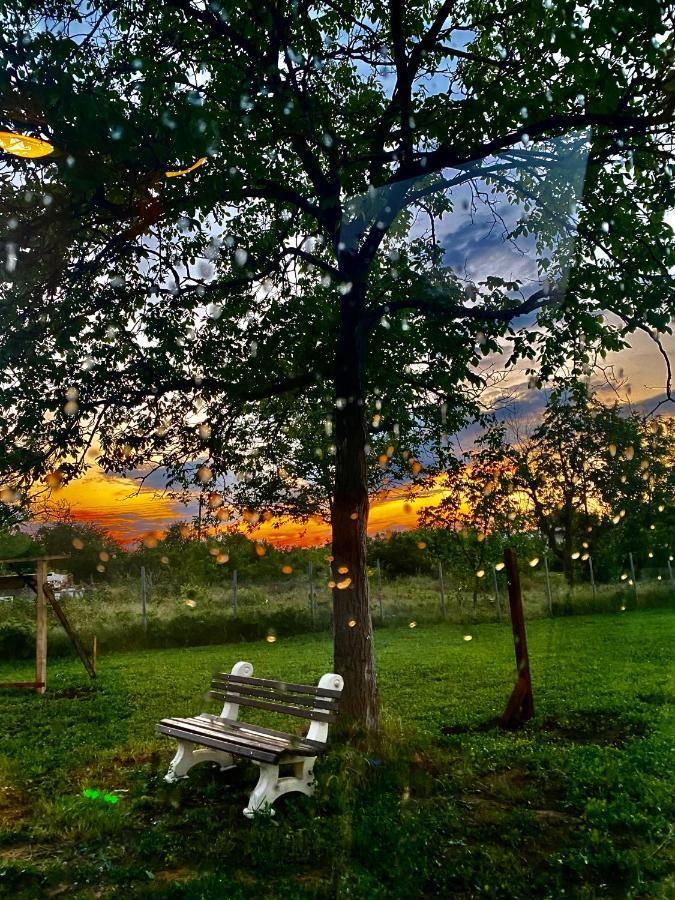 Caravans 10 Min To Tsonevo Lake & 35 Min To Black Sea المظهر الخارجي الصورة