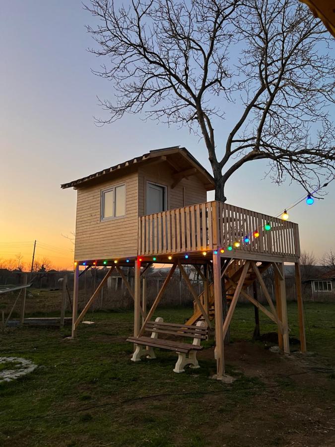Caravans 10 Min To Tsonevo Lake & 35 Min To Black Sea المظهر الخارجي الصورة